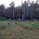 Działka budowlana Adelin. Zdjęcie 5