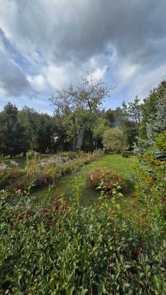 Działka rod Sosnowiec Pogoń, ul. Okólna. Zdjęcie 2