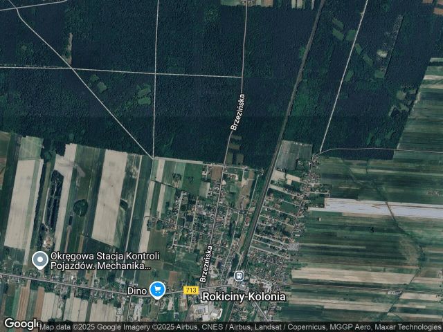 Działka budowlana Rokiciny-Kolonia, ul. Modrzewiowa. Zdjęcie 1