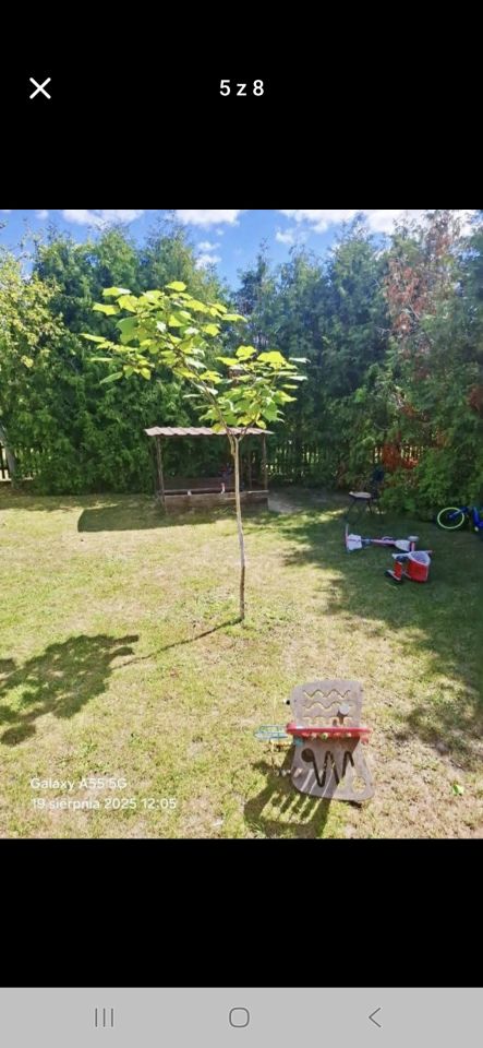 Działka rod Bielsk Podlaski, ul. Wojska Polskiego. Zdjęcie 4