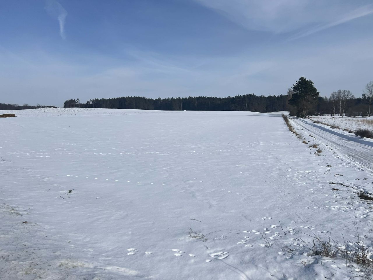 Działka rolna Wyłudzin. Zdjęcie 6