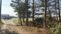 Działka siedliskowa Pogórska Wola. Zdjęcie 2
