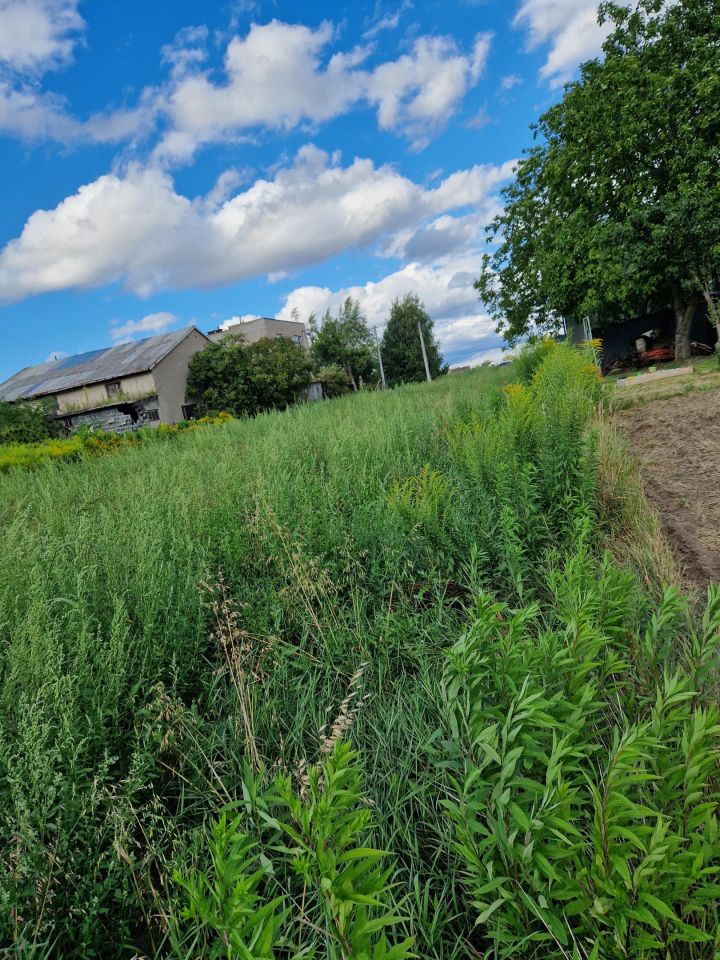 Działka rolno-budowlana Kraków Wyciąże, ul. Narcyza Wiatra. Zdjęcie 3