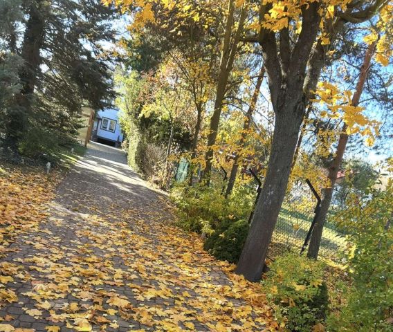 dom wolnostojący, 7 pokoi Zakrzewo Kościelne. Zdjęcie 28