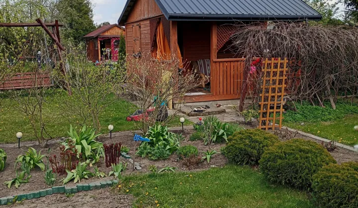 Działka rod Siedlce Centrum, ul. Tulipanowa