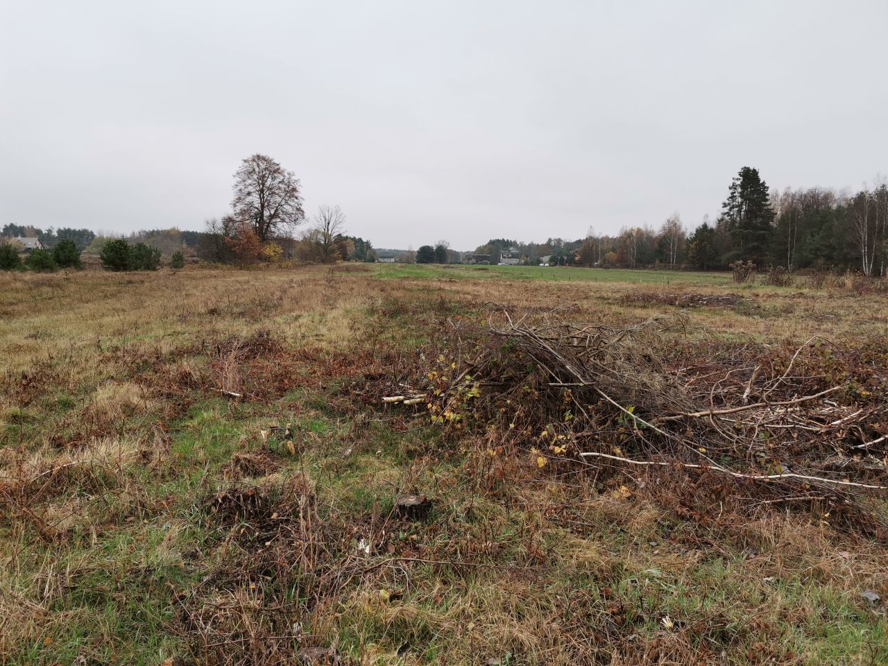 Działka rolno-budowlana Budy Józefowskie. Zdjęcie 3