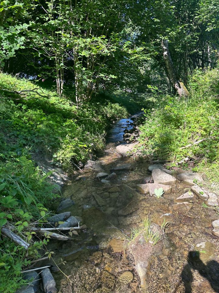 Działka budowlana Zawoja Wełcza. Zdjęcie 6