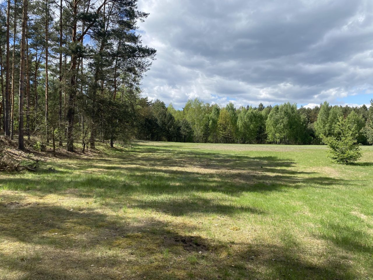 Działka siedliskowa Radziwiłka. Zdjęcie 3