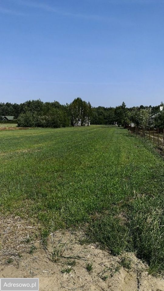 Działka budowlana Wilcza Wólka. Zdjęcie 2