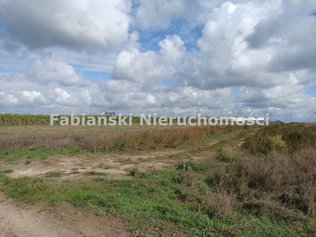 Działka inwestycyjna Mrowino. Zdjęcie 4