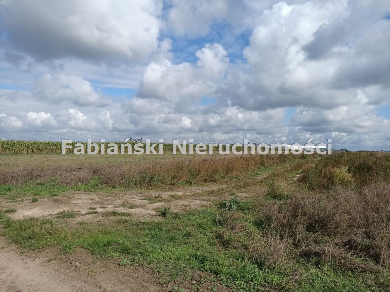 Działka inwestycyjna Mrowino. Zdjęcie 4