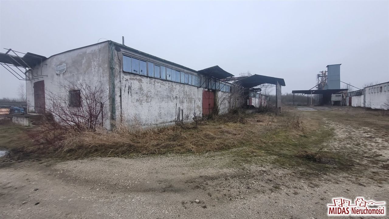 Hala/magazyn Lubraniec. Zdjęcie 2