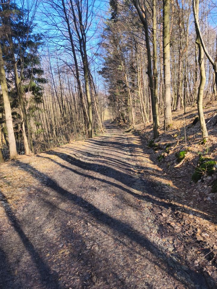 Działka rolna Dębowa. Zdjęcie 8