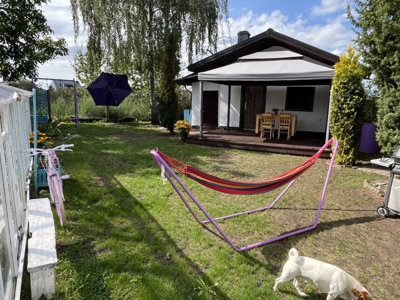 Działka rod Szczecin Pomorzany, ul. Przy Ogrodach. Zdjęcie 3