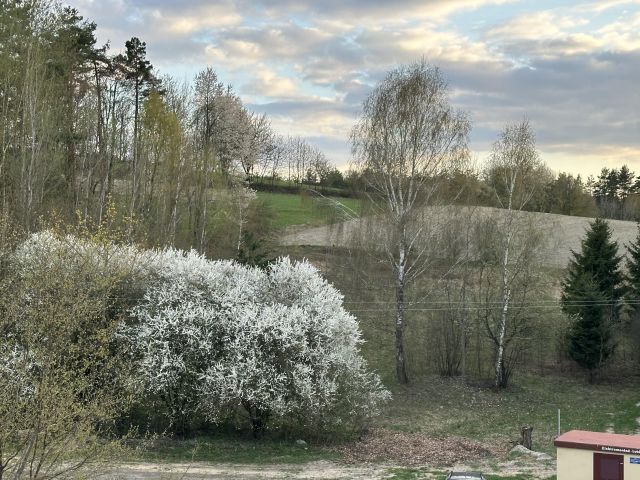 Działka rekreacyjna Stara Huta Lasowe, Lasowe. Zdjęcie 3