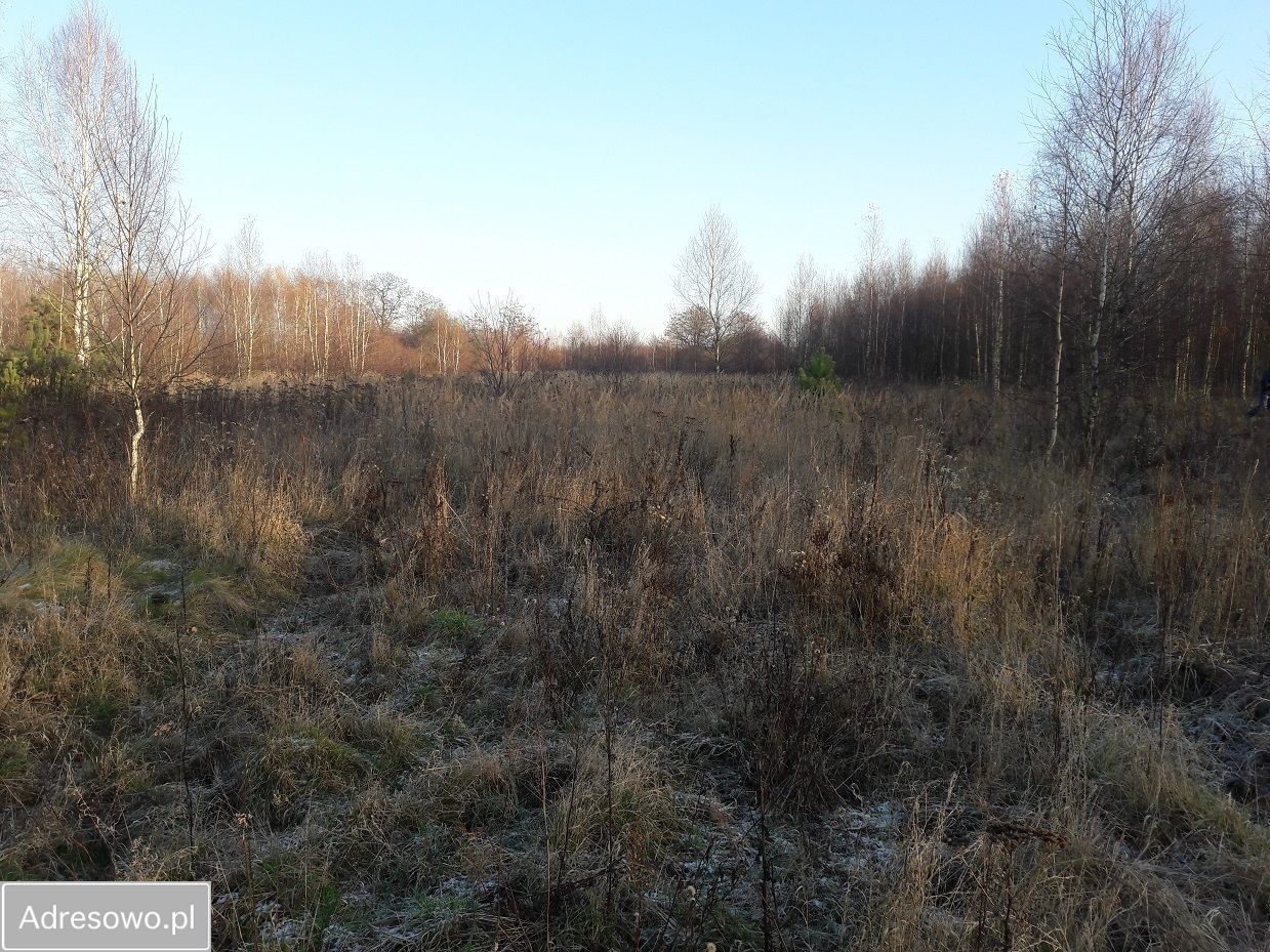 Działka inwestycyjna Szydłowiec, ul. Polna. Zdjęcie 9