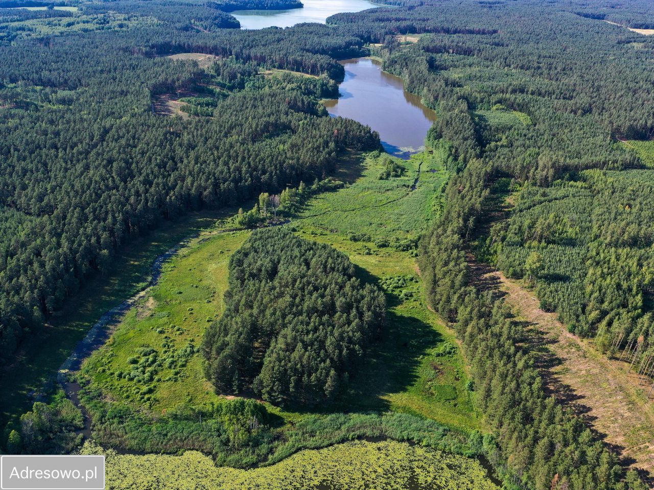 Działka rolna Jeleniowo