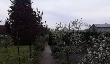 Działka rod Września, ul. Działkowców