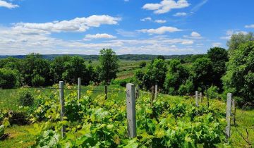 Działka rolna Szczebrzeszyn