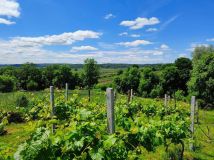 Działka rolna Szczebrzeszyn. Zdjęcie 1