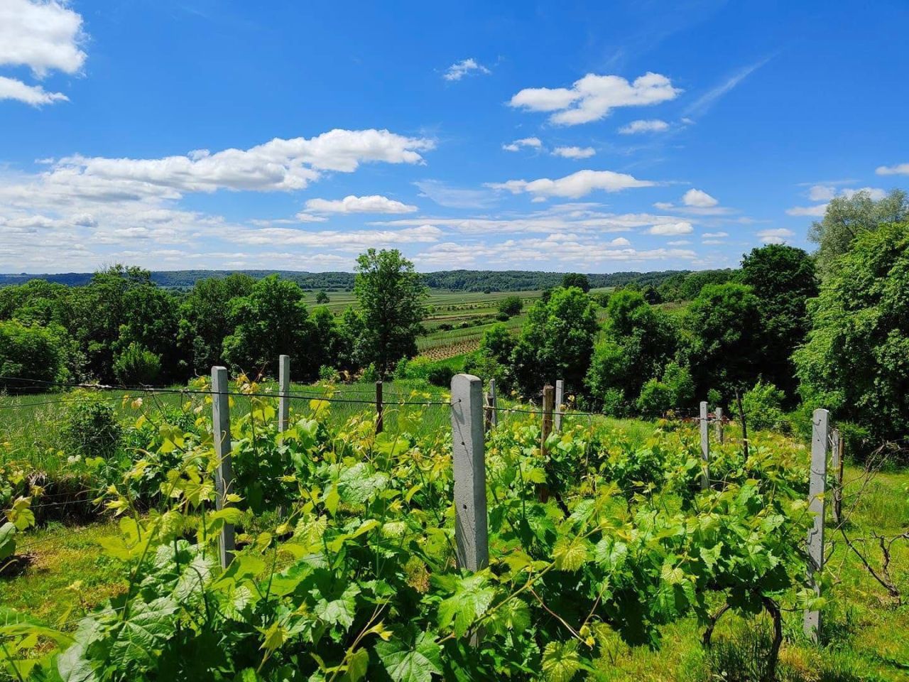 Działka rolna Szczebrzeszyn. Zdjęcie 2