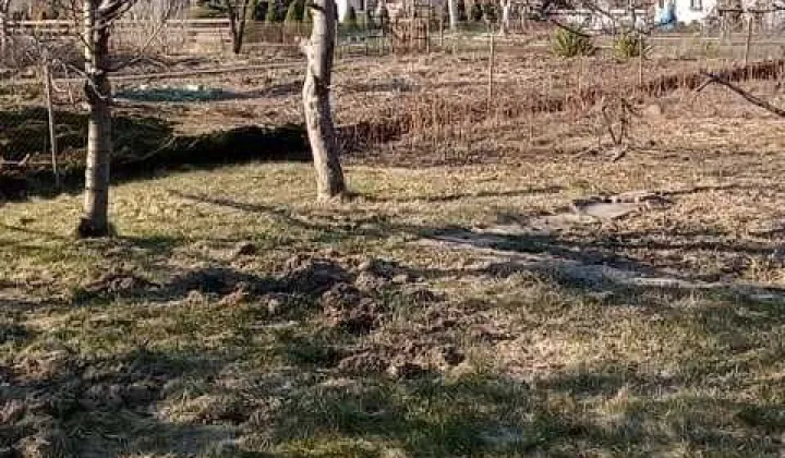 Działka rod Koszalin Centrum, ul. Lechicka