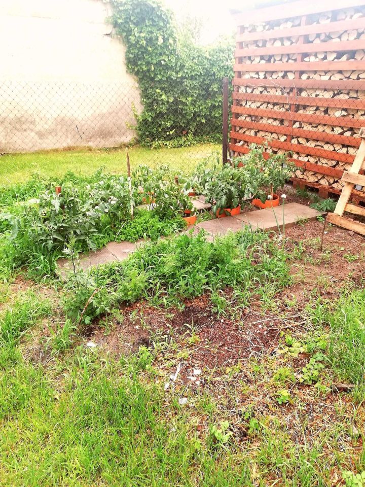 Mieszkanie 2-pokojowe Płock, ul. Teofila Aleksandra Lenartowicza. Zdjęcie 3