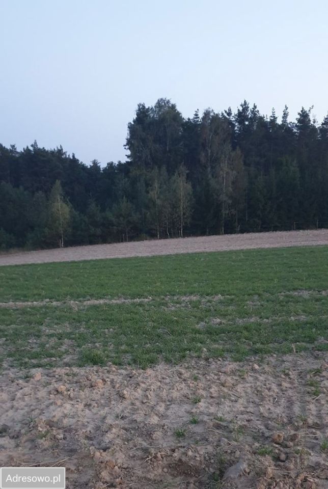 Działka budowlana Mszano. Zdjęcie 3