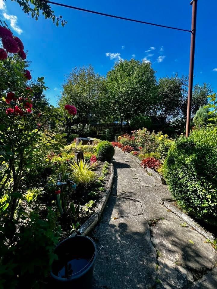 Działka rod Gliwice Trynek, Gliwice Trynek. Zdjęcie 6