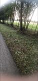 Działka rolno-budowlana Dąbrówki Breńskie. Zdjęcie 1