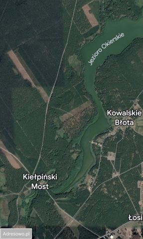 Działka budowlana Kowalskie Błota. Zdjęcie 1