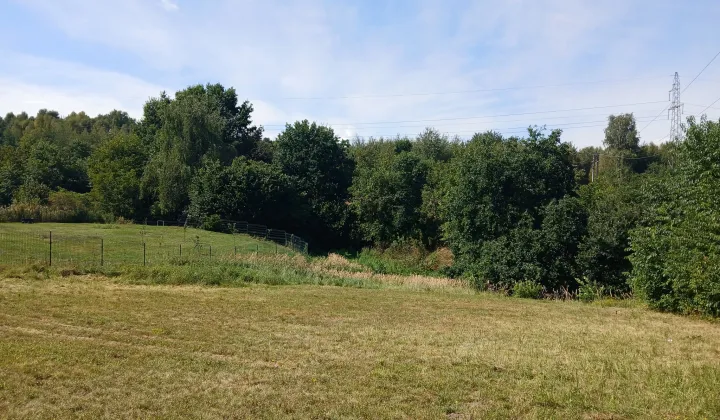 Działka budowlana Rybnik Niedobczyce, ul. Górnośląska