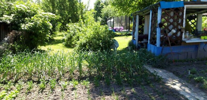 budynek wielorodzinny, 4 pokoje Piotrowice Świdnickie. Zdjęcie 2
