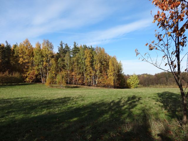 Działka rolna Wola Pniewska. Zdjęcie 1