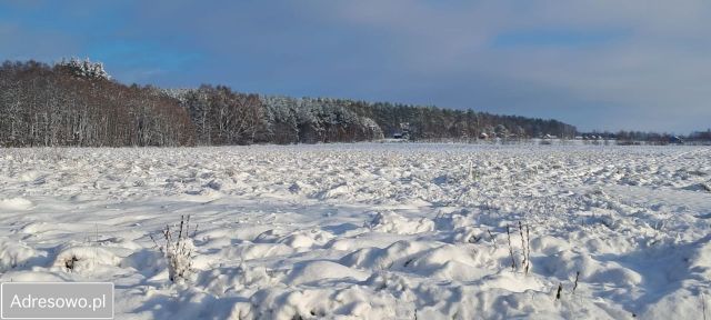 Działka rekreacyjna Kierzkowo. Zdjęcie 1