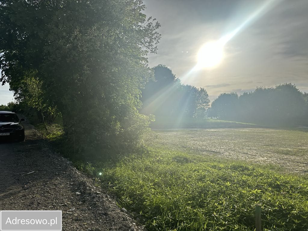 Działka rolno-budowlana Lipsko-Polesie. Zdjęcie 5