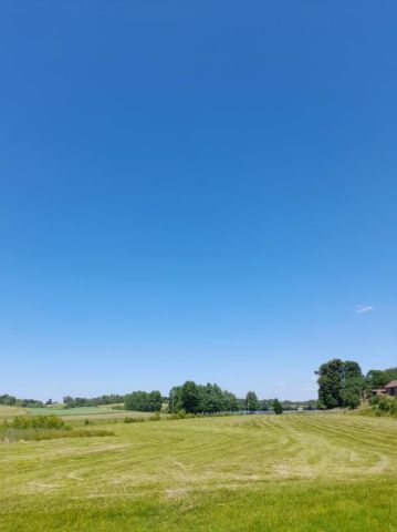 Działka rolna Kistowo Chojna. Zdjęcie 1