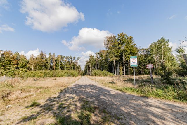 Działka rekreacyjna Choczewo, ul. Jeziorna. Zdjęcie 12