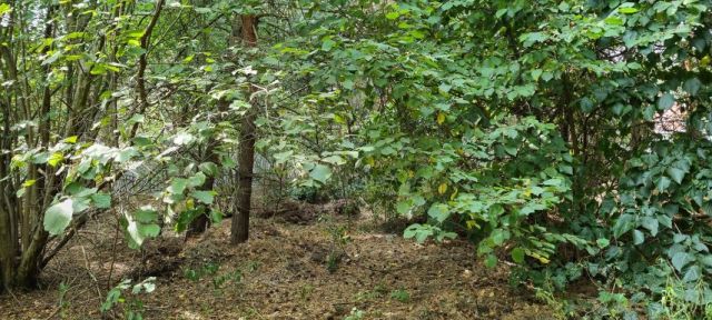 Działka budowlana Strzeniówka. Zdjęcie 7