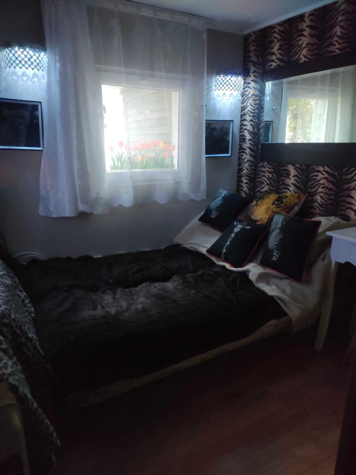 Działka rod Żurczyn. Zdjęcie 2