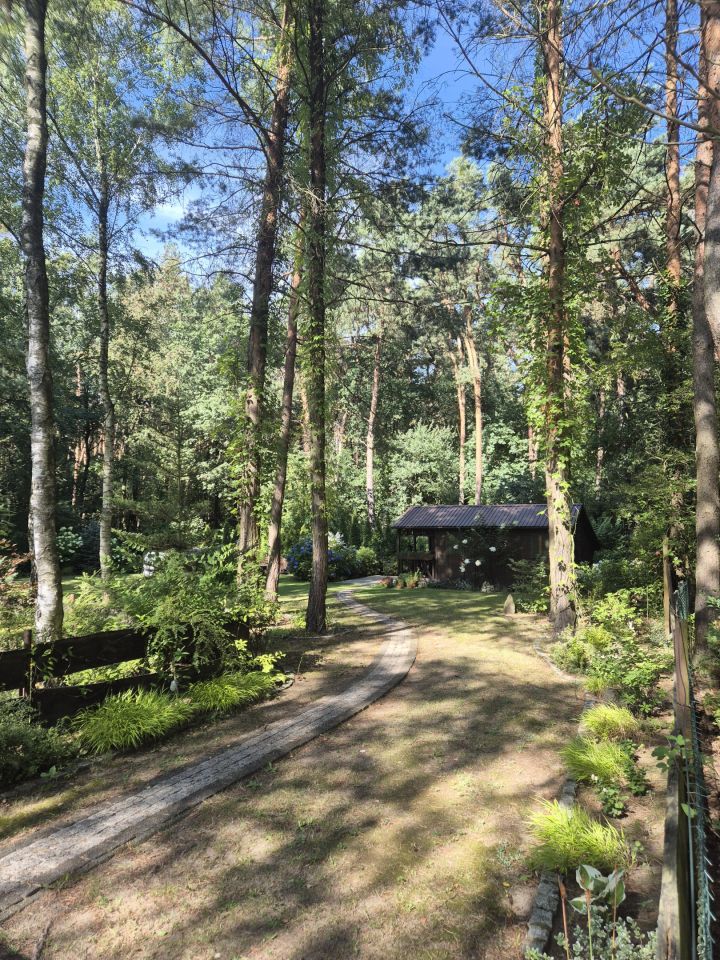 Działka rod Zdzieszowice, Kaczorownia. Zdjęcie 9