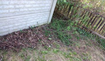 Działka rod Ostrów Wielkopolski, ul. Spichrzowa