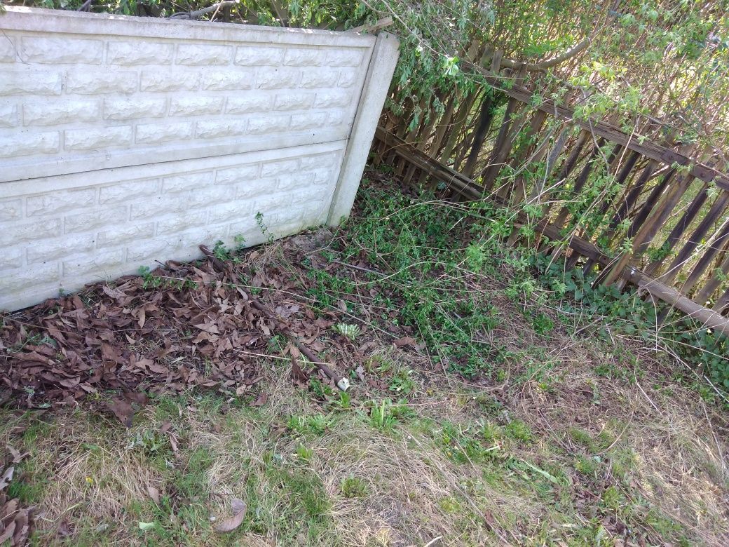 Działka rod Ostrów Wielkopolski, ul. Spichrzowa. Zdjęcie 2