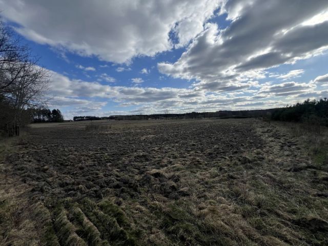 Działka rolna Stanów. Zdjęcie 1