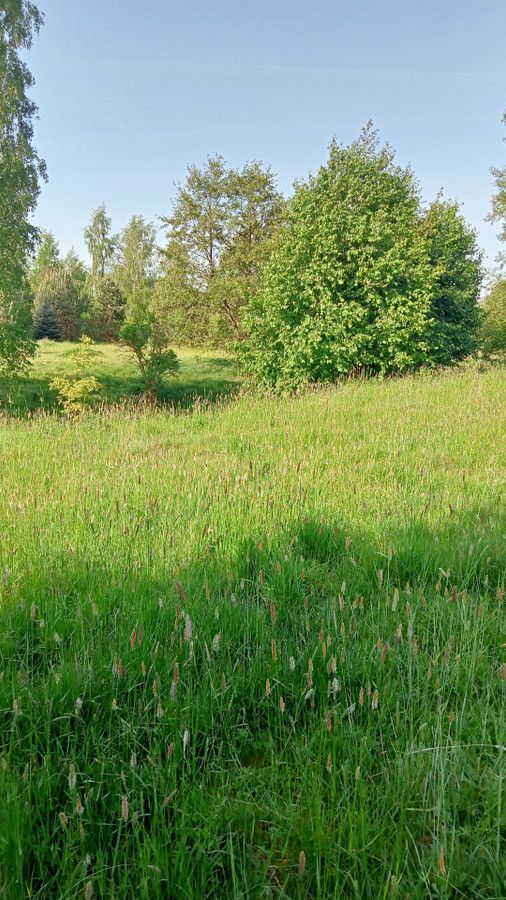 Działka rolna Skęczniew. Zdjęcie 14