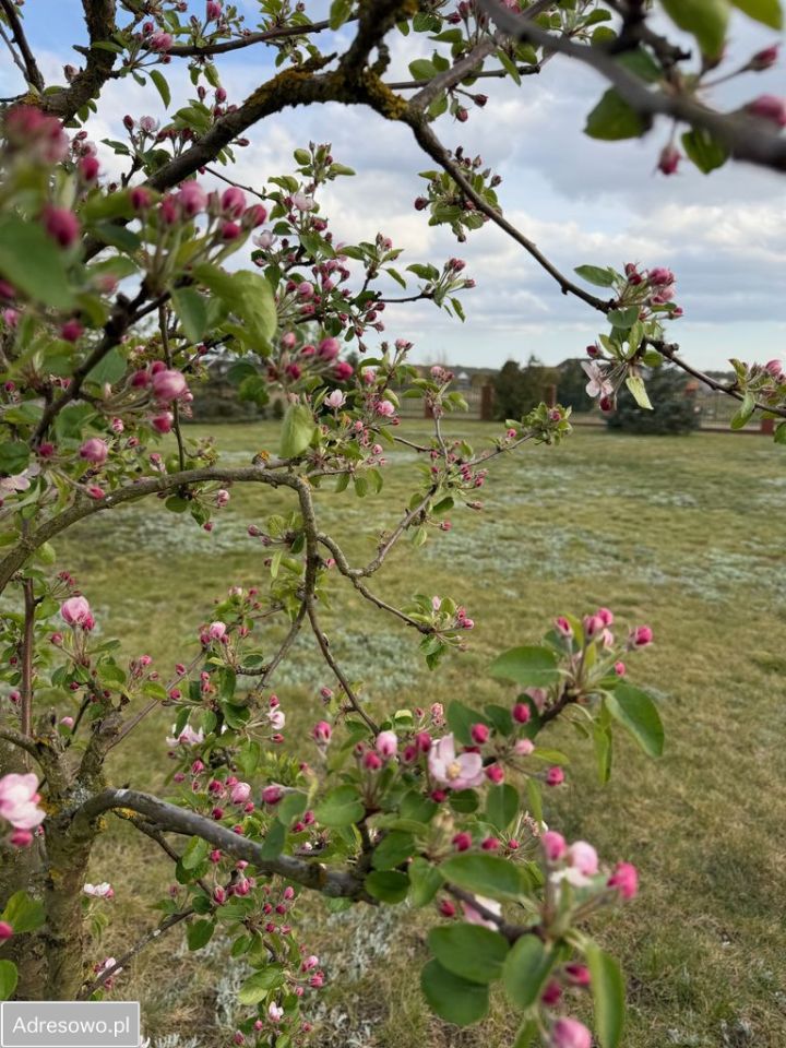 Działka budowlana Czarna Łąka, ul. Namiotowa. Zdjęcie 4