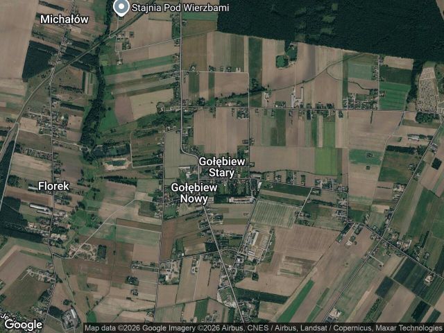 dom wolnostojący, 4 pokoje Gołębiew Stary. Zdjęcie 1