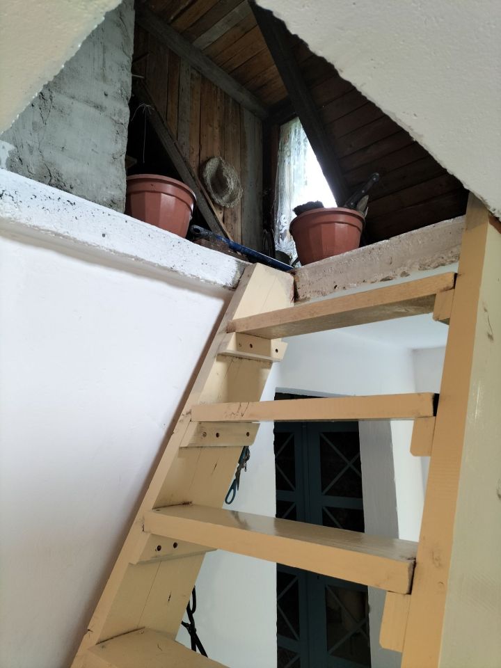 Działka rod Nysa, al. Wojska Polskiego. Zdjęcie 5
