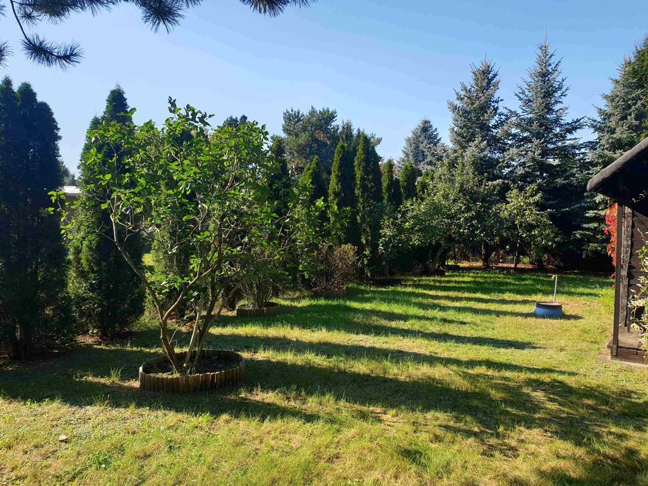 Działka rod Aleksandrów Łódzki. Zdjęcie 5