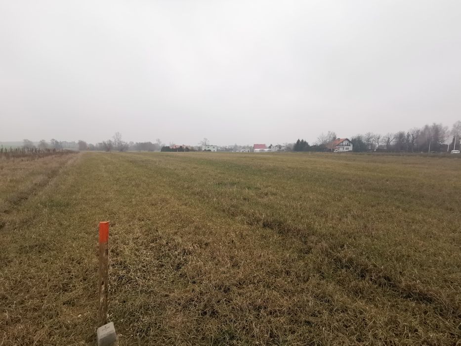 Działka budowlana Adamowo. Zdjęcie 6